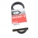 Correia Micro-V Gates 5PK0970 Audi R8 5.2 V10 - Cód.10945