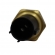 Sensor Temp.de Água MTE 4257 Honda Accord, Civic - Cód.13910