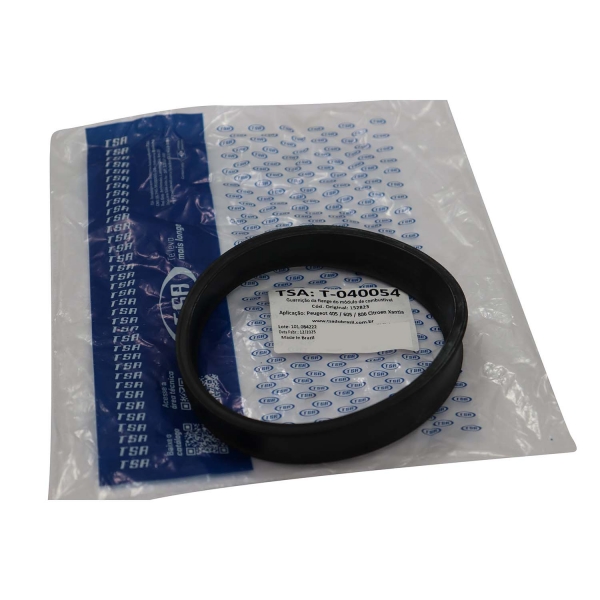 Guarnição Flange Bomba TSA T040054 Peugeot 306 - Cód.13998