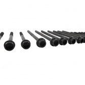 Parafuso de Cabeçote Elring 713.490 VW Touareg - Cód.3805