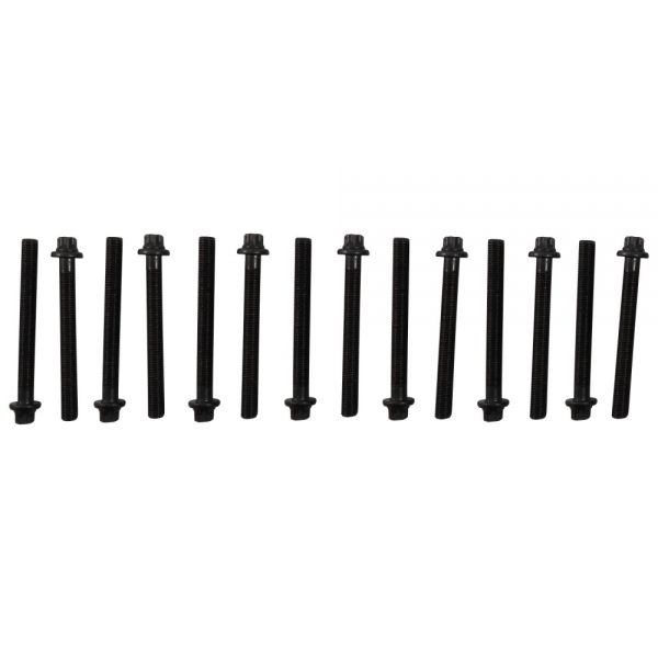 Parafuso de Cabeçote Elring 802.740 BMW 323i, 328i - Cód.135