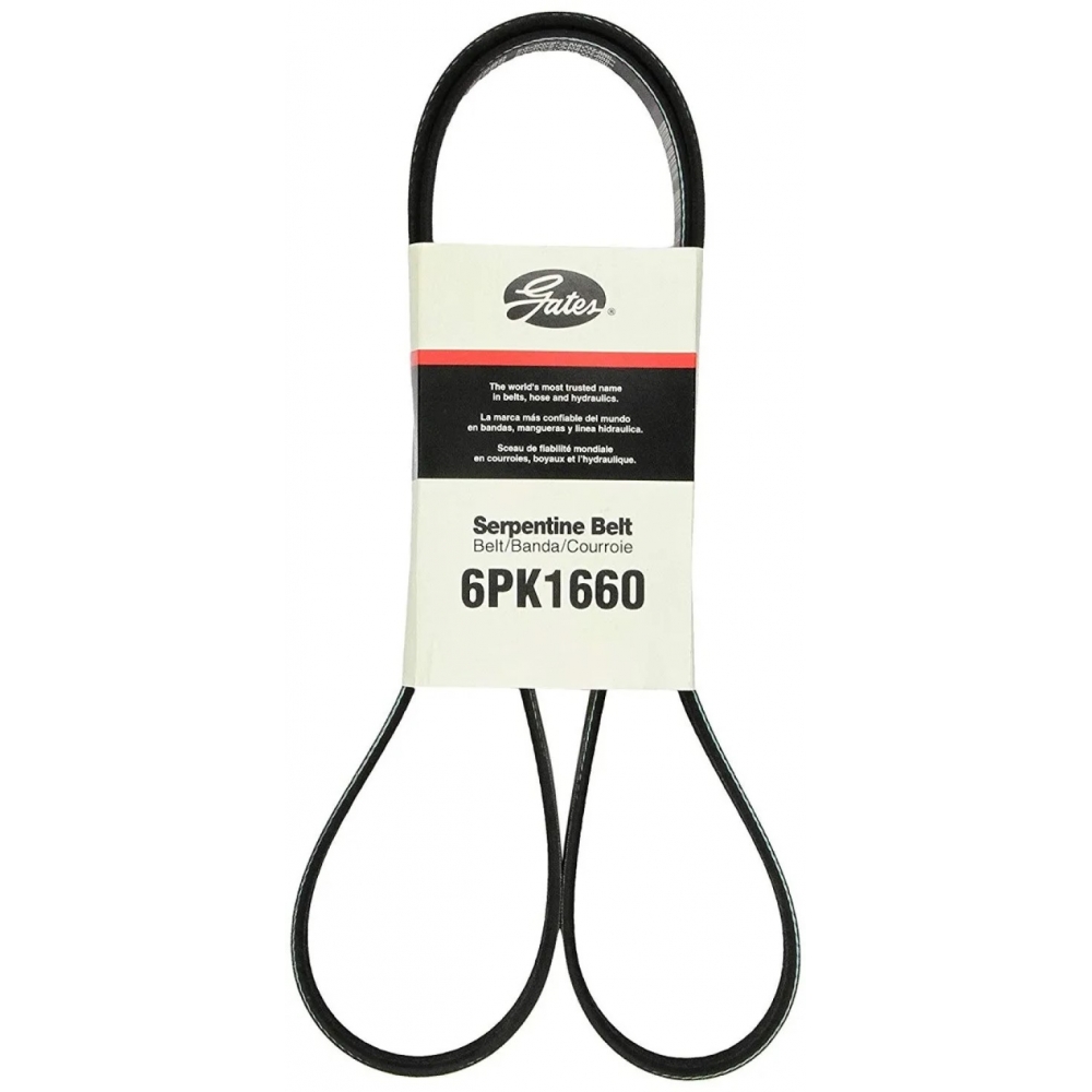 Correia Gates Micro-V 6PK1660 Scenic, Corsa - Cód.4838