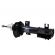 Amortecedor Diant. Nakata HG33022 Fiat Stilo - Cód.14564