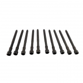 Parafuso de Cabeçote Elring 057.410 Audi A4, A6 - Cód.4469