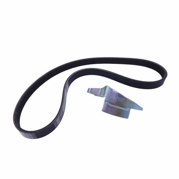Correia Gates Micro-V 5PK0870SF Focus, Agile - Cód.5640