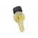 Sensor Temp. de Água NTK CTN2-V003 GM Agile - Cód.11292