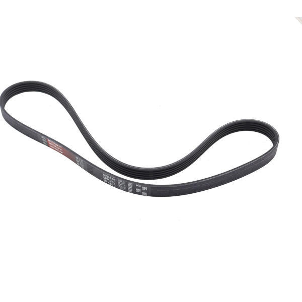 Correia Micro-V Gates 5PK0970 Audi R8 5.2 V10 - Cód.10945