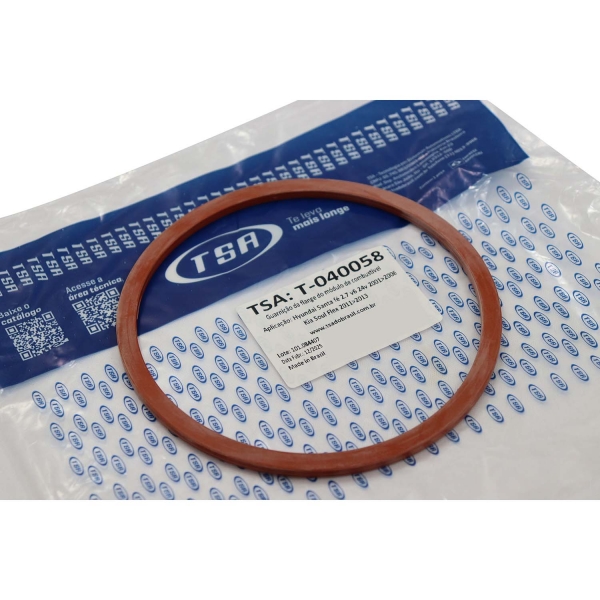Guarnição Flange Bomba TSA T040058 Soul - Cód.14001