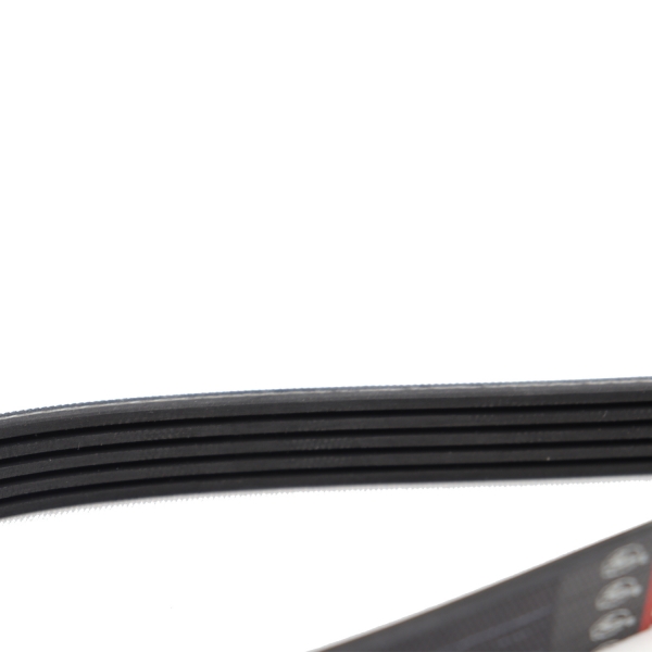 Correia Micro-V Gates 5PK0970 Audi R8 5.2 V10 - Cód.10945