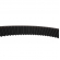 Correia Dentada Gates 5536XS Pajero Sport- Cód.4973