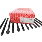 Parafuso de Cabeçote Elring 527.450 BMW 118i, X1 - Cód.7280