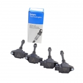 Jg Bobina Ignição Delphi GN10241 Nissan March - Cód.11223