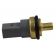 Sensor de Temp. Água MTE 4092 VW Amarok, Touareg - Cód.11531