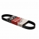 Correia Gates Micro-V 6PK0684SF Mini Cooper - Cód.9220