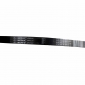 Correia Micro-V Gates 6PK2187 Ford Focus 2.0 16V - Cód.11731