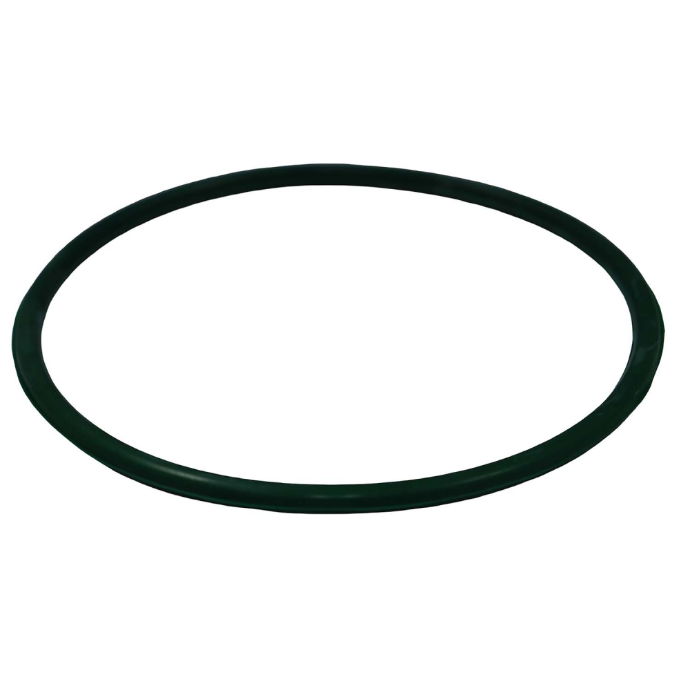 Guarnição Flange Bomba TSA T040066 Fiat Toro - Cód.14009