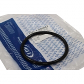 Guarnição Flange Bomba TSA T040042 GM S10 - Cód.13987
