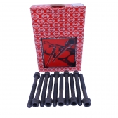 Parafuso de Cabeçote Elring 302.250 VW AP Longo - Cód.3192