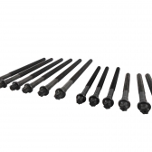 Parafuso de Cabeçote Elring 010.230 BMW 118i - Cód.4474