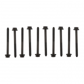 Parafuso Cabeçote Elring 730.300 Audi A1 1.4 TFSI - Cód.4464