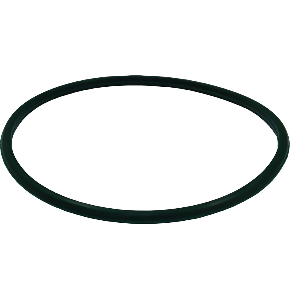Guarnição Flange Bomba TSA T040045 Fiat Bravo - Cód.13990