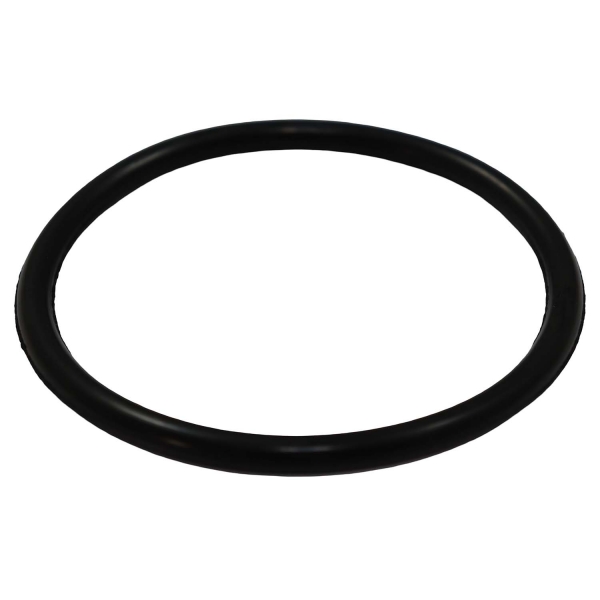 Guarnição Flange Bomba TSA T040042 GM S10 - Cód.13987