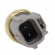Sensor Temp. de Água NTK CTN2-A001 Ford Zetec - Cód.11290